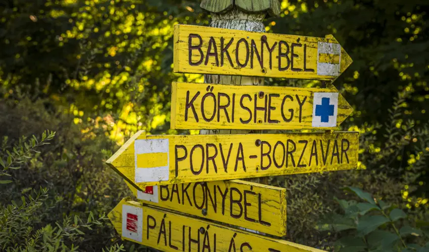 Hotel Sz�palma Porva-Sz�palmapuszta - H�sv�t (min. 3 �j)