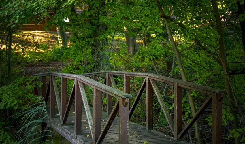 Hotel Sz�palma Porva-Sz�palmapuszta - H�sv�t (min. 3 �j)