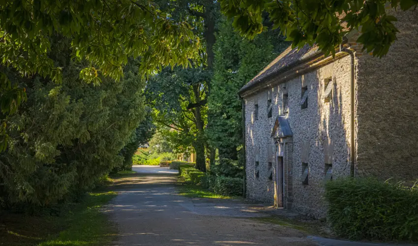 Hotel Sz�palma Porva-Sz�palmapuszta - H�sv�t (min. 3 �j)