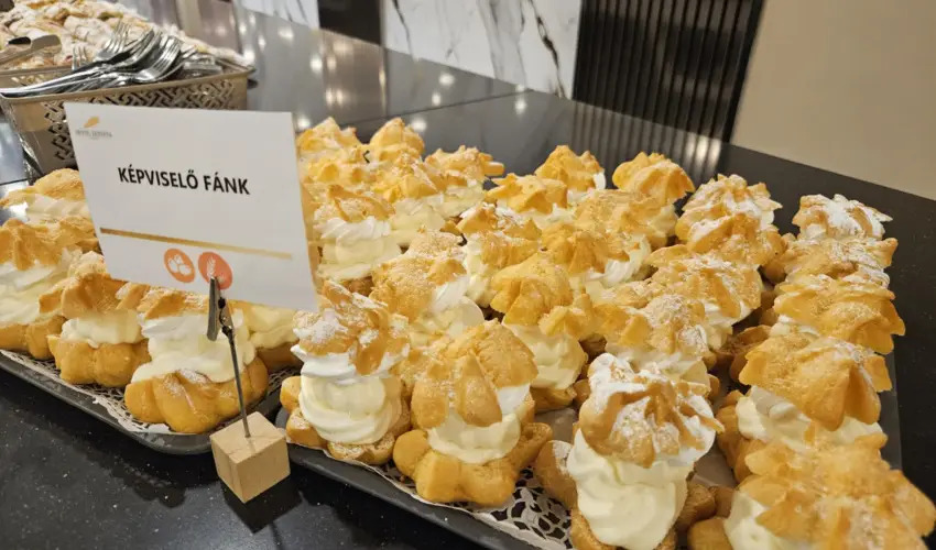 Hotel Szieszta Sopron - Hsvt 