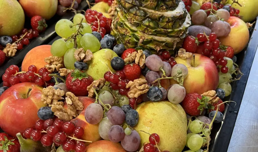 Hotel Szieszta Sopron - Hsvt 