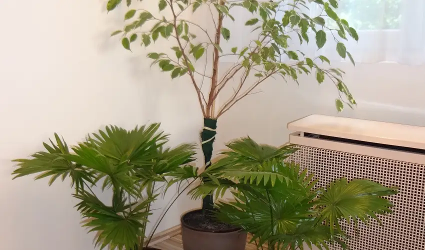 Hotel Touring Nagykanizsa - Hsvt 