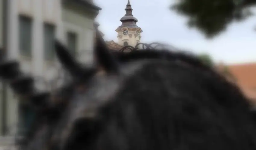 Hotel Unicornis Eger - H�sv�t