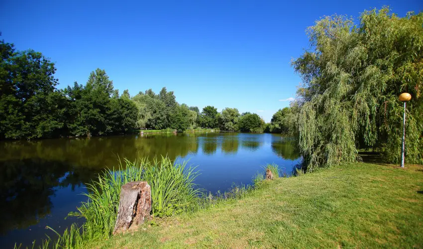 Terml Hotel Vesta Tpiszecs - Hsvt