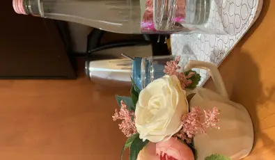 Terml Hotel Vesta Tpiszecs