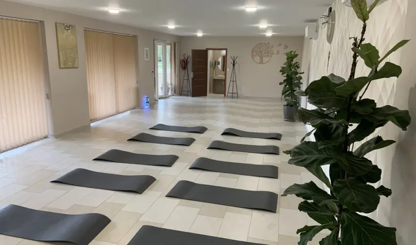 Term�l Hotel Vesta T�pi�szecs� - H�sv�t