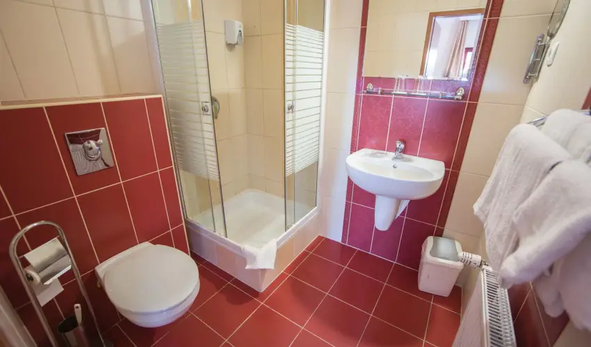 Hotel Vikt�ria S�rv�r - H�sv�t
