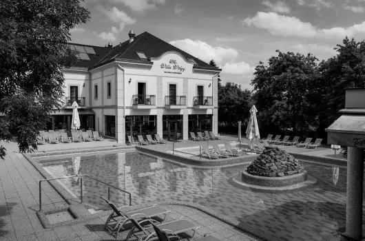 Hotel Villa V�lgy - H�sv�t (min. 2 �j)