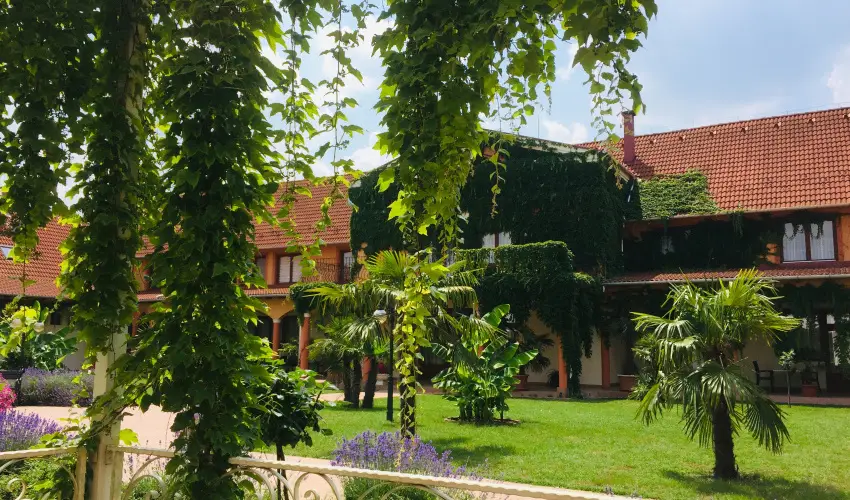 Hotel Vinum Wellness s Konferencia Hotel Kiskrs - Hsvt