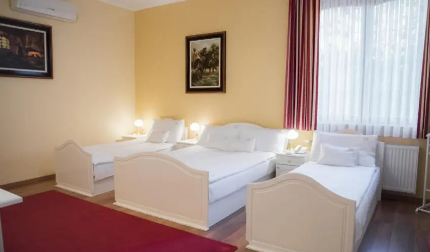 Hotel Vinum Wellness s Konferencia Hotel Kiskrs - Hsvt