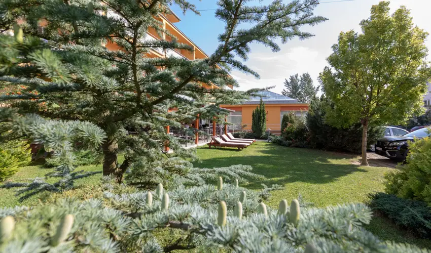 Hotel Vital Zalakaros - Hsvt