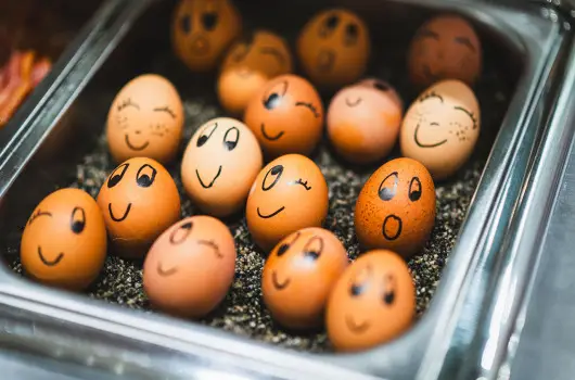 Hotel Xylophon - Hsvt (min. 3 j)