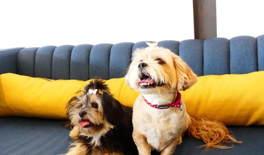 Hotel Yacht Wellness & Business Sifok - Hsvt