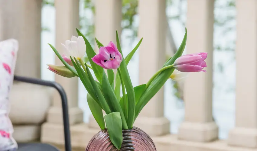 Hotel Anna Villa Balatonfldvr - Hsvt