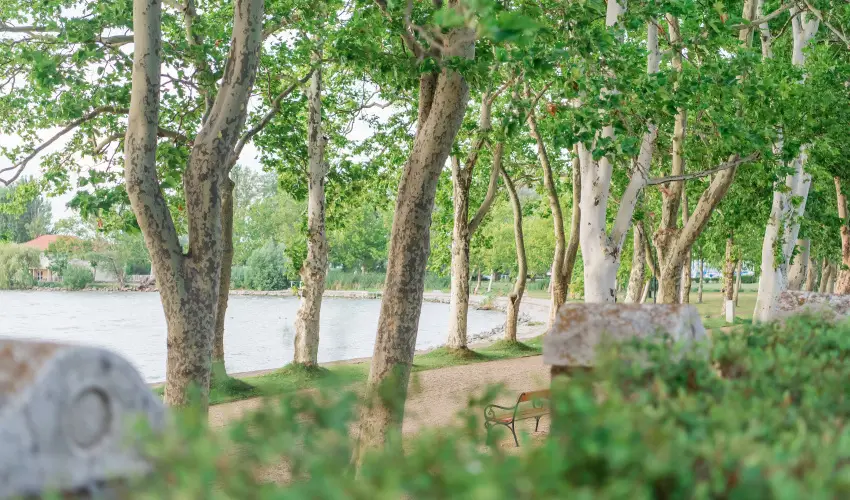 Hotel Anna Villa Balatonfldvr - Hsvt