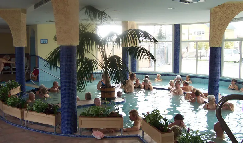 Therm�l Apartmanh�z Kom�rom - H�sv�t