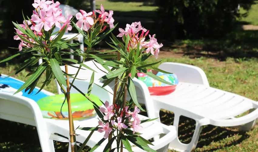 Hotel Hforrs Hajdszoboszl - Hsvt (min. 2 j)