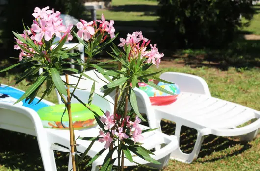 Hotel Hforrs - Hsvt (min. 2 j)