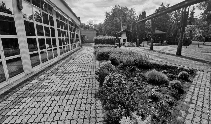 Hotel Nagyerd� Debrecen - H�sv�t