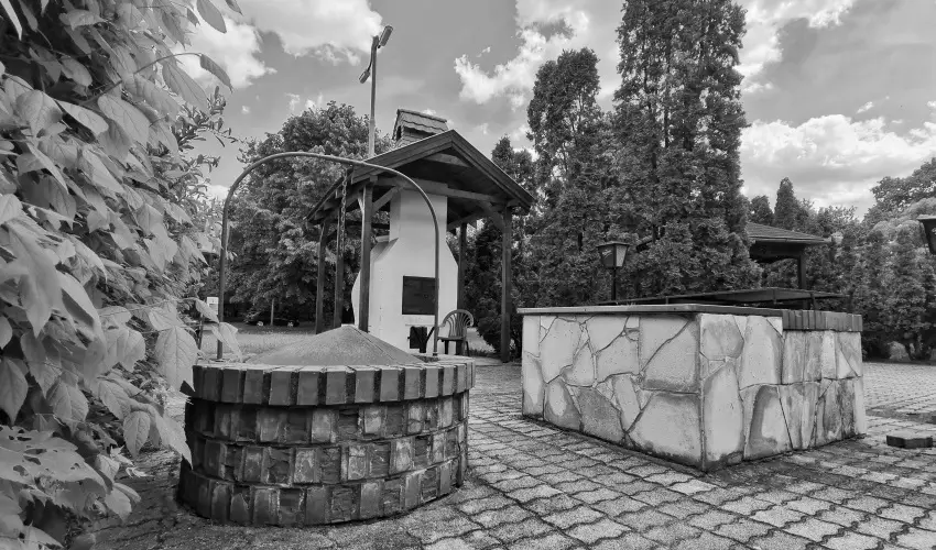 Hotel Nagyerd� Debrecen - H�sv�t