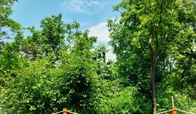 Hunor Vend�gh�z S�toralja�jhely