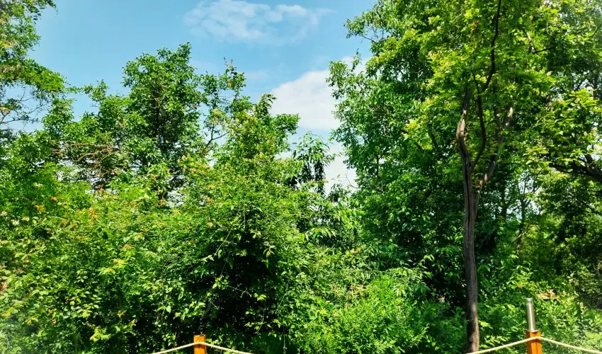 Hunor Vend�gh�z S�toralja�jhely - H�sv�t (min. 2 �j)