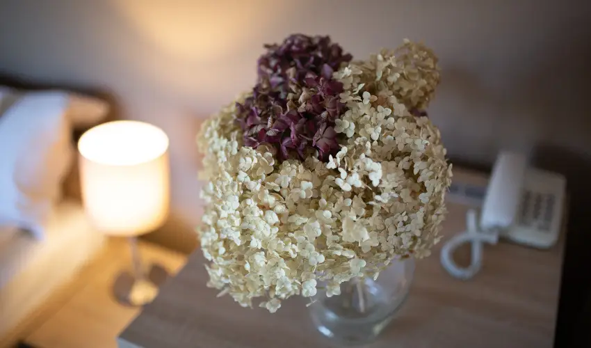 Zsanett Hotel Balatonkeresztr - Hsvt