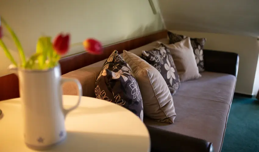 Zsanett Hotel Balatonkeresztr - Hsvt