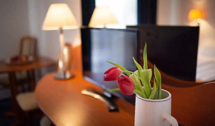 Zsanett Hotel Balatonkeresztr - Hsvt