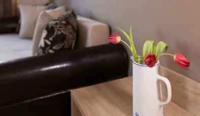 Zsanett Hotel Balatonkeresztr