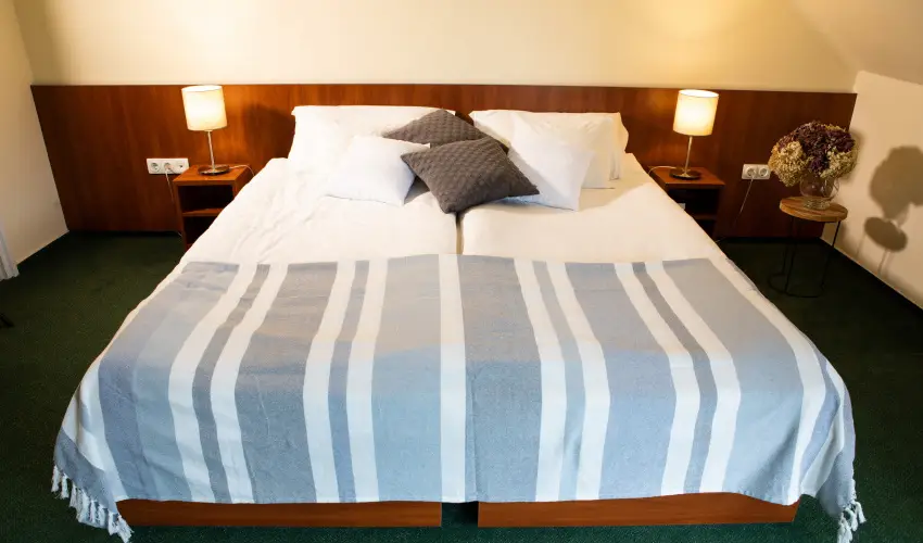 Zsanett Hotel Balatonkeresztr - Hsvt