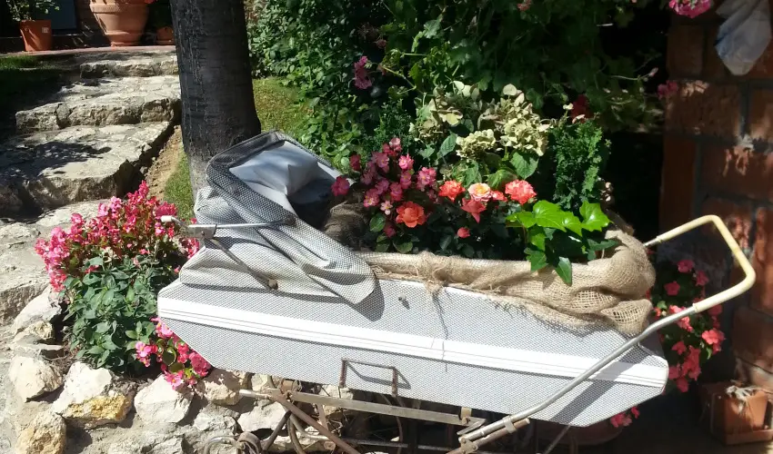 Jo Fogad Wellness Panzi Rbapaty - Hsvt