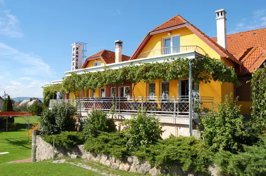 Judit Panzi - Hsvt (min. 2 j)