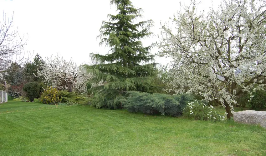 Judit Panzi Tapolca-Gyulakeszi - Hsvt (min. 2 j)