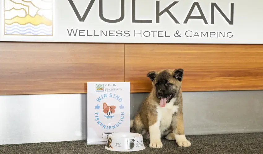 Vulkn Wellness Hotel s Kemping Celldmlk - Hsvt (min. 3 j)