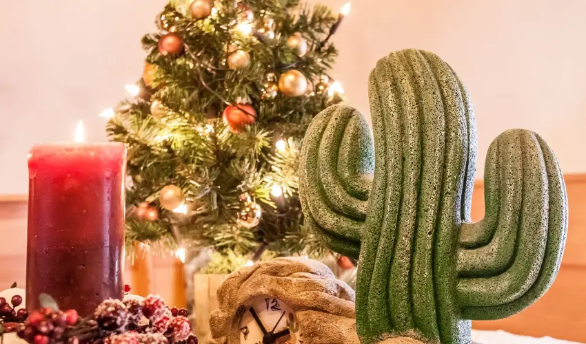 Kaktusz Villa Hvz - Hsvt