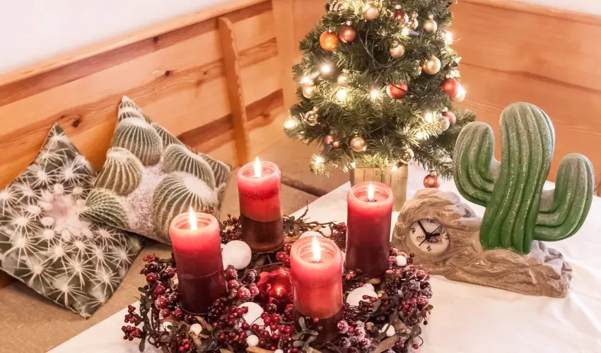 Kaktusz Villa Hvz - Hsvt