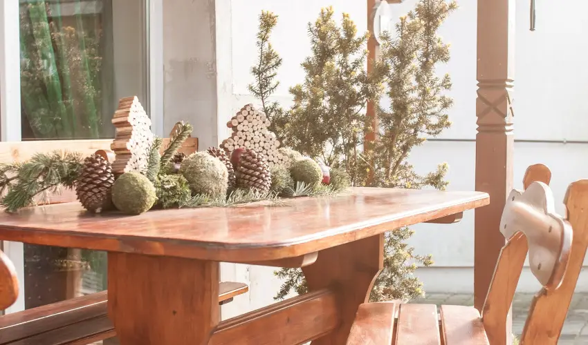 Kaktusz Villa Hvz - Hsvt