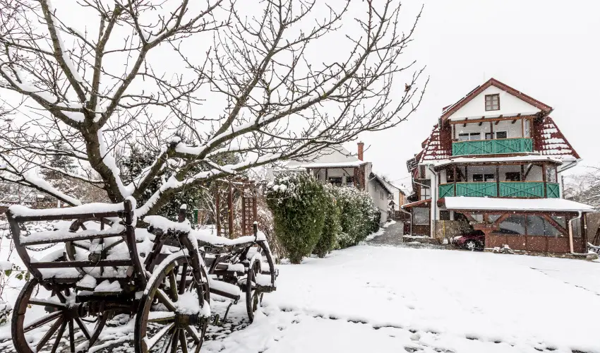 Kaktusz Villa Hvz - Hsvt