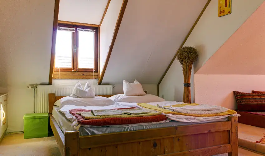 Kaktusz Villa Hvz - Hsvt