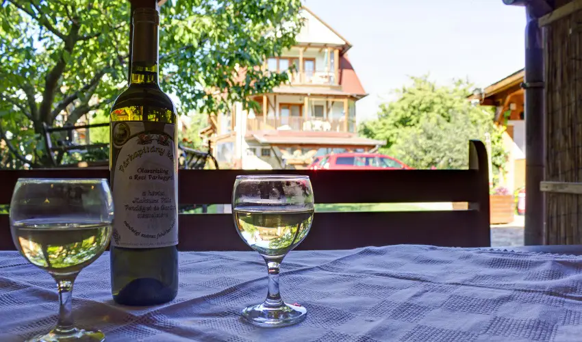 Kaktusz Villa Hvz - Hsvt