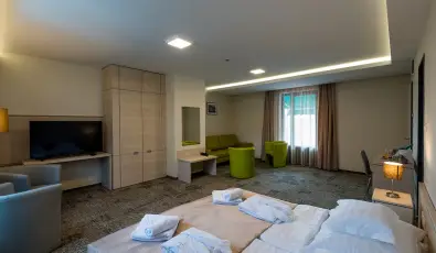 Hotel Kamilla Balmaz�jv�ros