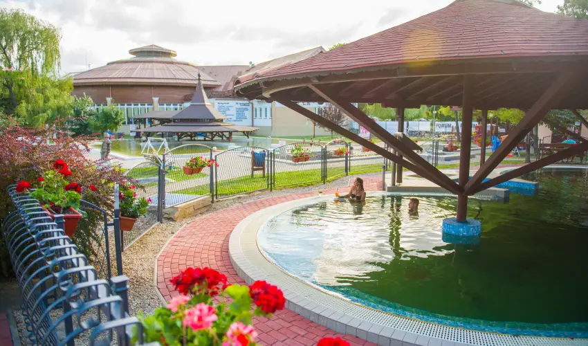 Hotel Kamilla Balmaz�jv�ros - H�sv�t (min. 2 �j)