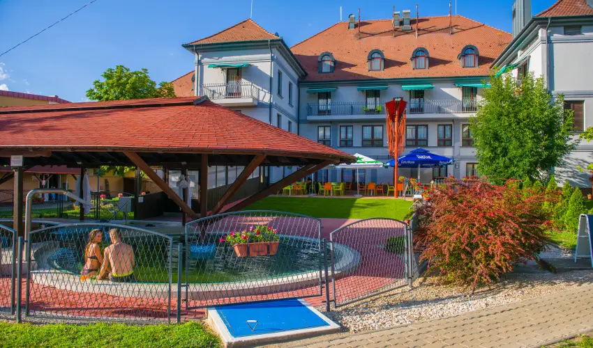 Hotel Kamilla Balmaz�jv�ros - H�sv�t (min. 2 �j)