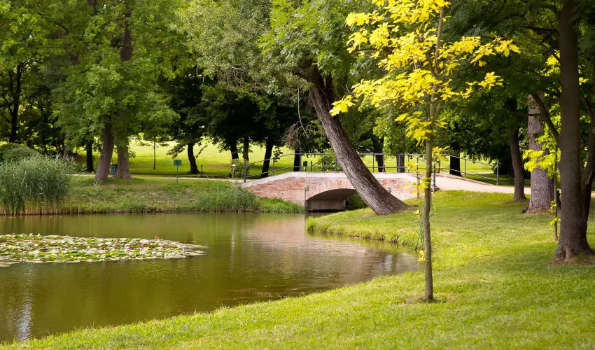 Krolyi Kastly Hotel & Restaurant  Fehrvrcsurg - Hsvt 