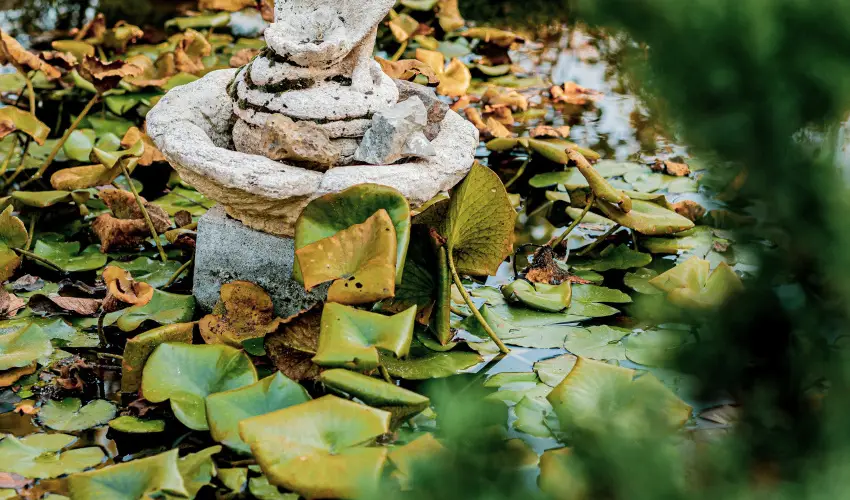 Kastello Vend�gh�z Nagykoz�r - H�sv�t (min. 2 �j)