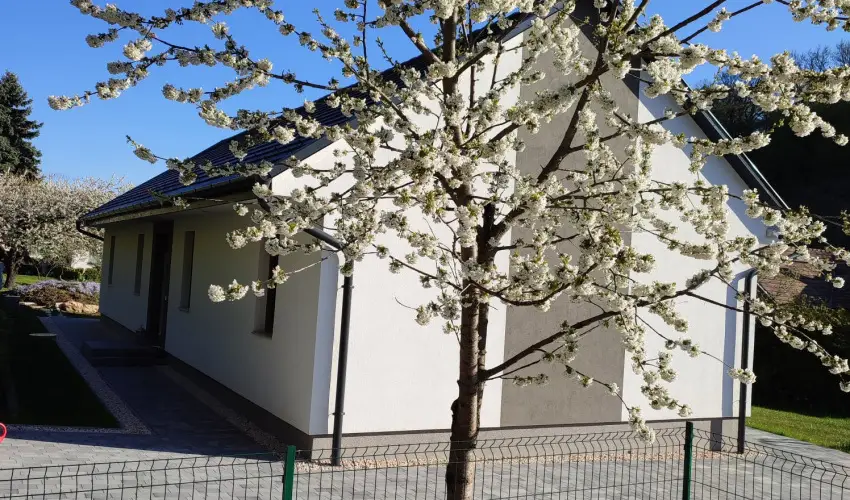 Kat�ng Vend�gh�z Tardos - H�sv�t