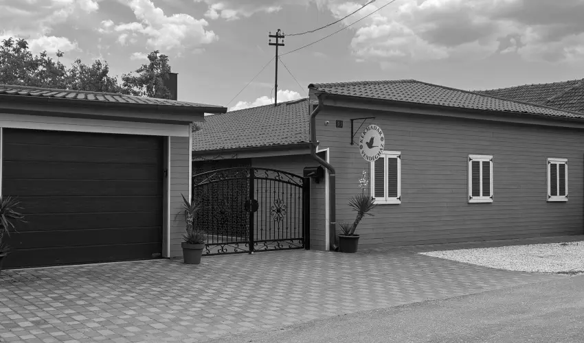 K�kmad�r Vend�gh�z Homokm�gy - H�sv�t