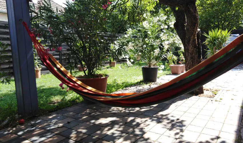 Kkmadr Vendghz Homokmgy - Hsvt