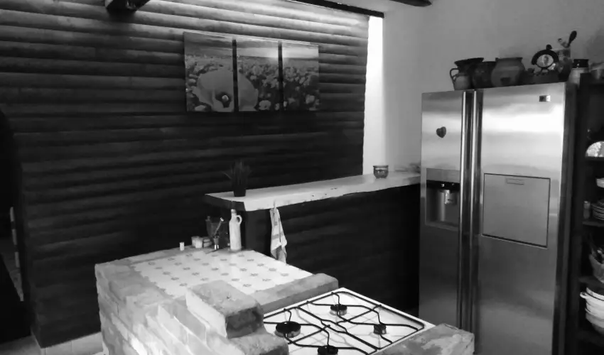 K�kmad�r Vend�gh�z Homokm�gy - H�sv�t